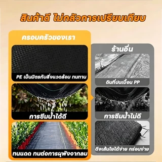 【กำจัดวัชพืช 100%】ผ้าคลุมดิน ผ้าคลุมหญ้า ป้องกันวัชพืช ผ้าคลุมดินหญ้า พลาสติกคลุมวัชพืช โปร่งสบาย ผ้าคลุมหญ้าที่ทนทาน