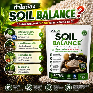BioFix Soil Balance สารปรับปรุงดิน เติมแร่ธาตุ ปรับ pH ดิน แก้ดินเป็นกรด ปลูกอะไรก็งาม 100 g. โดโลไมท์