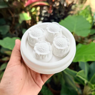 T49 เซ็ตระบายสีปูนปลาสเตอร์ “ติ่มซำสุดคิ้วท์” พร้อมสี 12 สี และพู่กัน 2 อัน