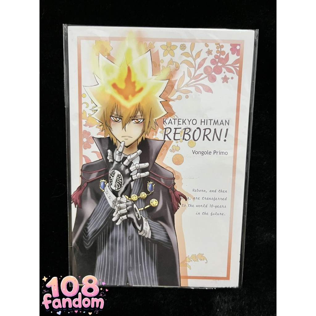 🇯🇵💯 Katekyo Hitman Reborn! Postcard Set B Vongola Primo