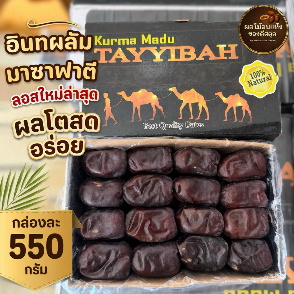 อินทผลัมมาซาฟาตี (มาดู) หาทานยาก 1 ปีมีครั้งเดียว กล่องละ 550 กรัม