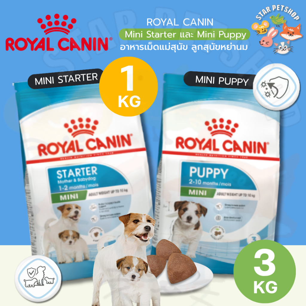 Royal Canin Mini Starter Mother & Baby Dog ขนาด 1kg และ Mini puppy 3kg อาหารเม็ดแม่สุนัข ลูกสุนัขหย่านม อายุ1-2เดือน