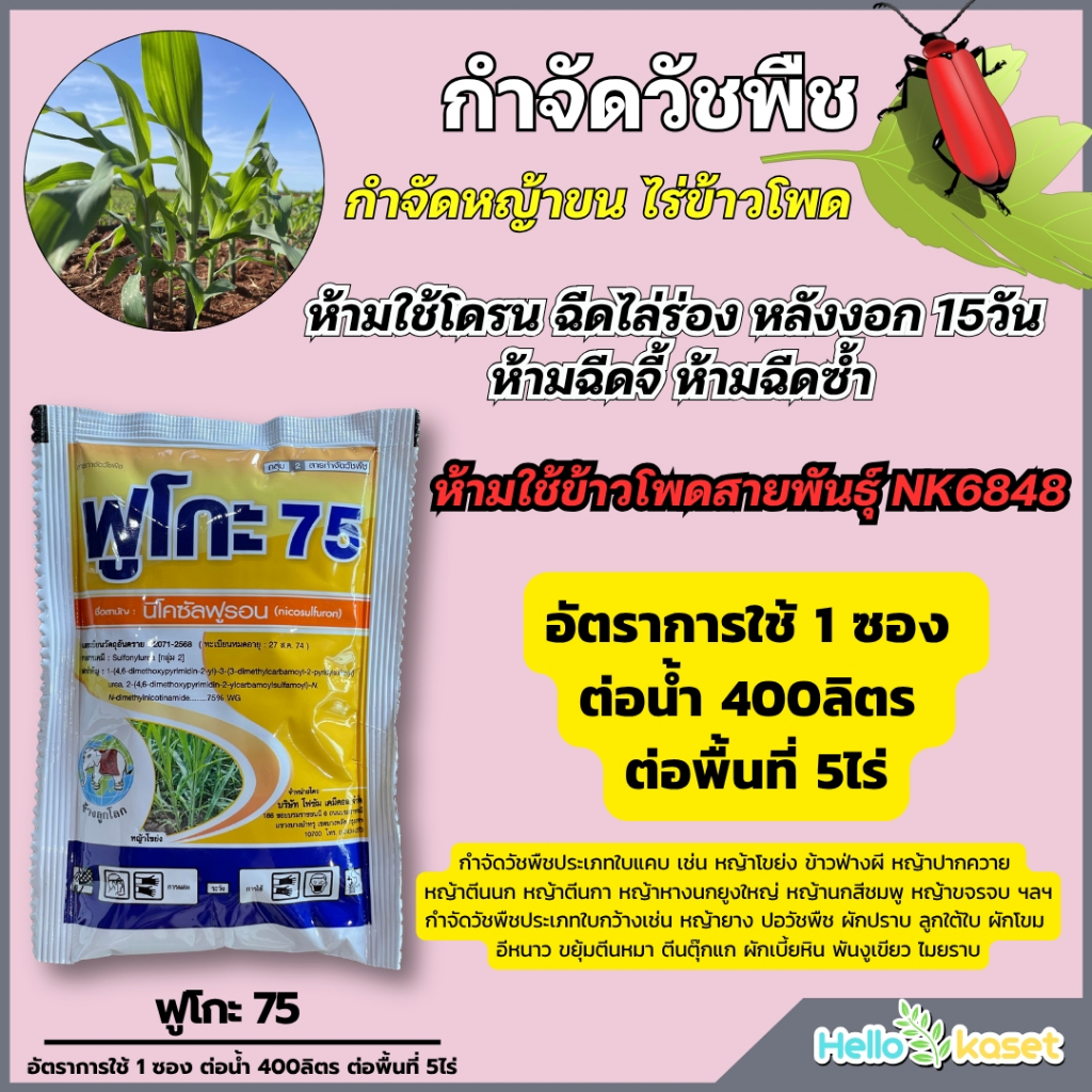 ฟูโกะ75 นิโคซัลฟูรอน สารกำจัดวัชพืช หลังงอก สำหรับข้าวโพด บางสายพันธุ์ ขนาด 50 กรัม
