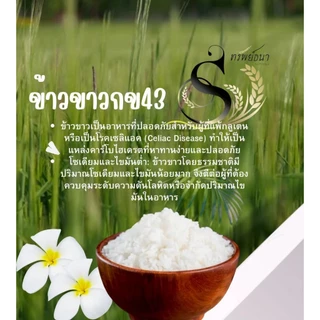 ข้าวขาวกข43 ตราทรัพย์ธนา ขนาดทดลอง500 กรัม คัดสรรคุณภาพจากโรงสีโดยตรง