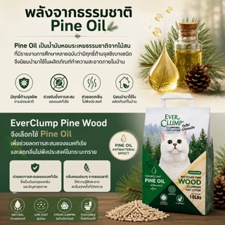 (เจ้าแรกในไทยเม็ดทรายเหมือนเต้าหู้)Pine oil wood ทรายไม้สนสูตรลดการสะสมของเชื้อโรค