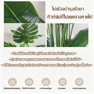 ต้นไม้ปลอม ต้นไม้มงคล แถมฟรี กระถางดอกไม้และหินประดับ ต้นไม้ประดิษฐ์คุณภาพสูงสไตล์นอร์ดิก สำหรับตกแต่งบ้านและสวน