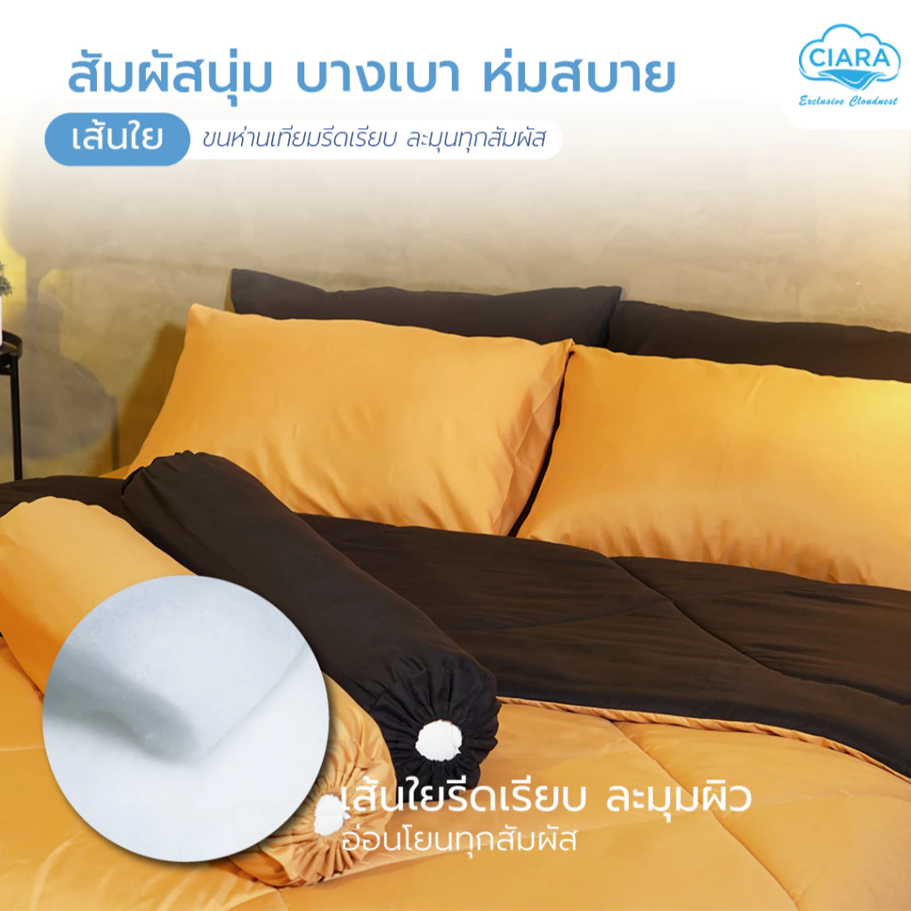 CIARA Bedding ชุดผ้าปูที่นอนและผ้าห่มนวมทูโทน เหลืองมาสตาร์ด-ดำ ไมโครเทคลินิน thumbnail 3