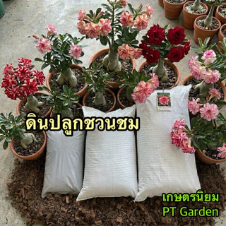 ดินปลูกชวนชม ดินปลูกสำเร็จรูป ใช้ปลูกต้นไม้ที่ชอบดินระบายน้ำดีได้ทุกชนิด