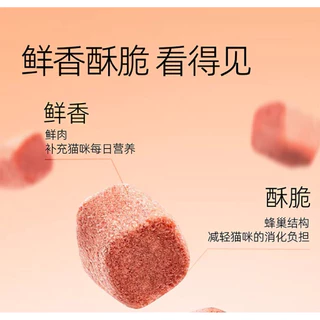 ใหม่!!ถังม่วง,เขียว RANOVA Five Treasures Freeze-Dried Complete Meal อาหารแมวฟรีซดราย 300กรัม (20ซอง×15กรัม)