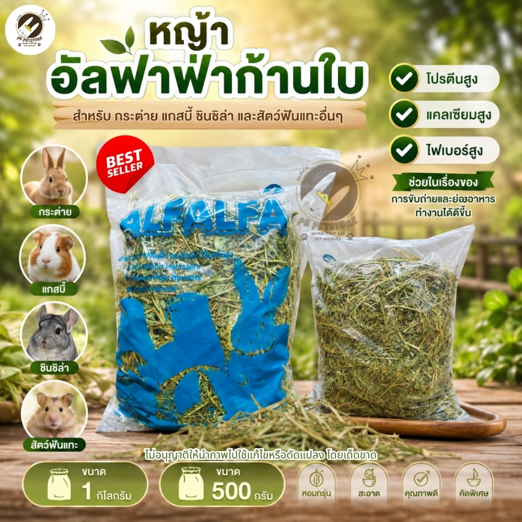 หญ้าอัลฟาฟ่า คัดพิเศษ Alfalfa หญ้ากระต่ายและสัตว์ฟันแทะ กลิ่นหอมธรรมชาติ ใบเยอะ โปรตีนและไฟเบอร์สูง (500g/1kg)