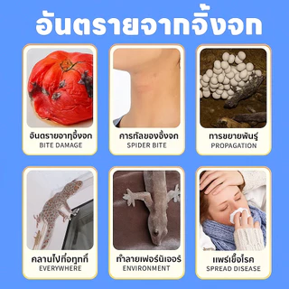 🦎เจลกำจัดจิ้งจก 10 ชิ้น/กล่อง เหยื่อกำจัดจิ้งจก ไล่ตุ๊กแก เห็นผลไว วางง่าย ใช้ในบ้าน ห้องครัว ห้องน้ำ