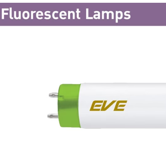 EVE หลอดนีออน ขนาด 18W ความยาว 60cm. และ 36W ความยาว 120cm. แสงวอร์ม (เฉพาะหลอด)