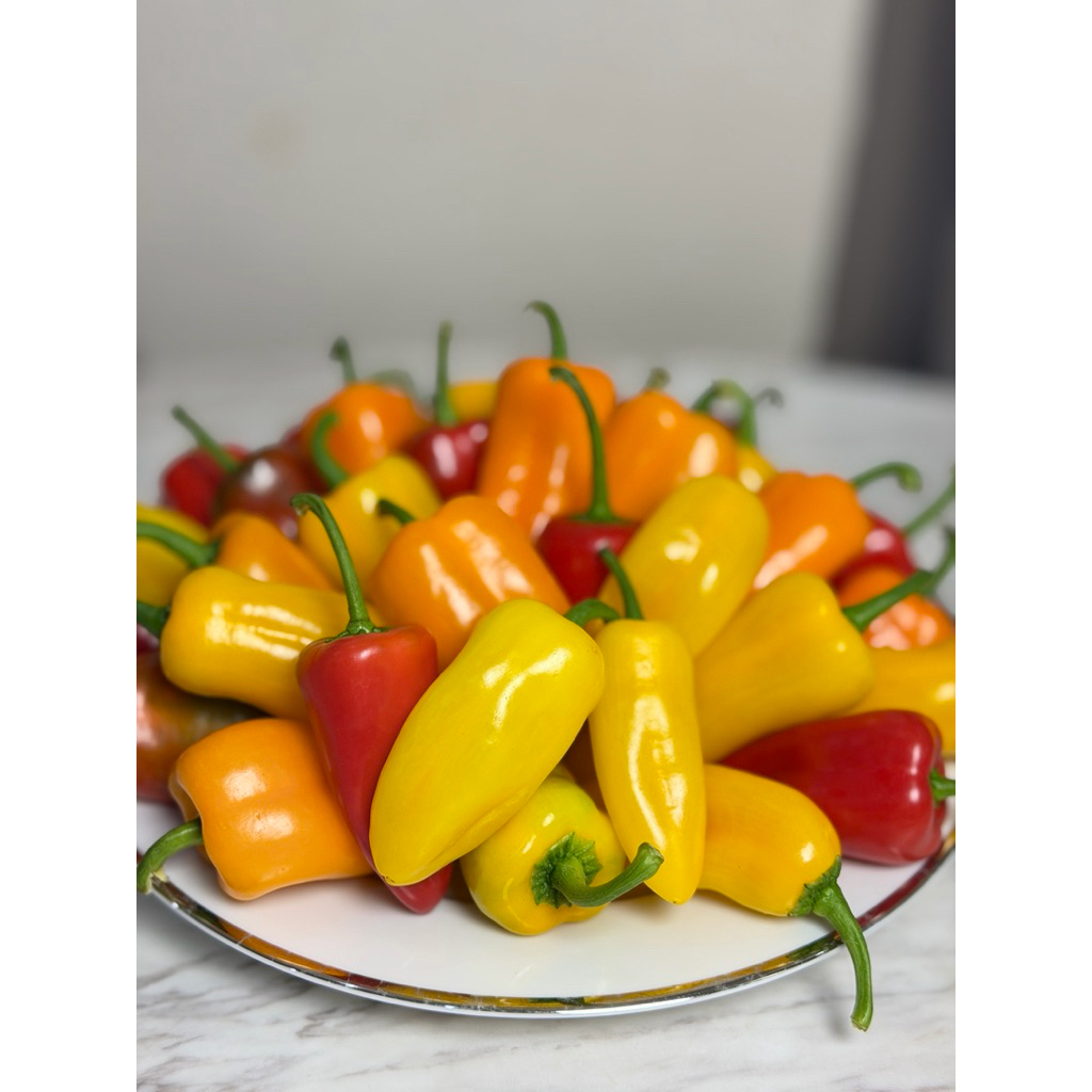 พริกหวานเล็ก 250 กรัม (จันทร์นิสาฟาร์ม)