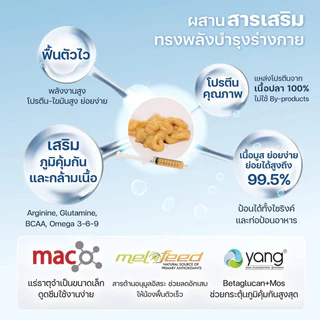 [ยกโหล] Delisci อาหารเปียกแมว ทะเบียน 07 ลูกแมว Kitten / แมวโต Hairskin ขน / Hairball / Urinary / สูงวัย แมวแก่ Senior