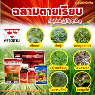 ฉลามตายเรียบ ชุดสารกำจัดวัชพืชในนาข้าว (บิสไพริแบค+ไตรโครเพอร์+นางงาม+มิกซ์ สปริ้น)กำจัดหญ้าได้ทุกชนิด