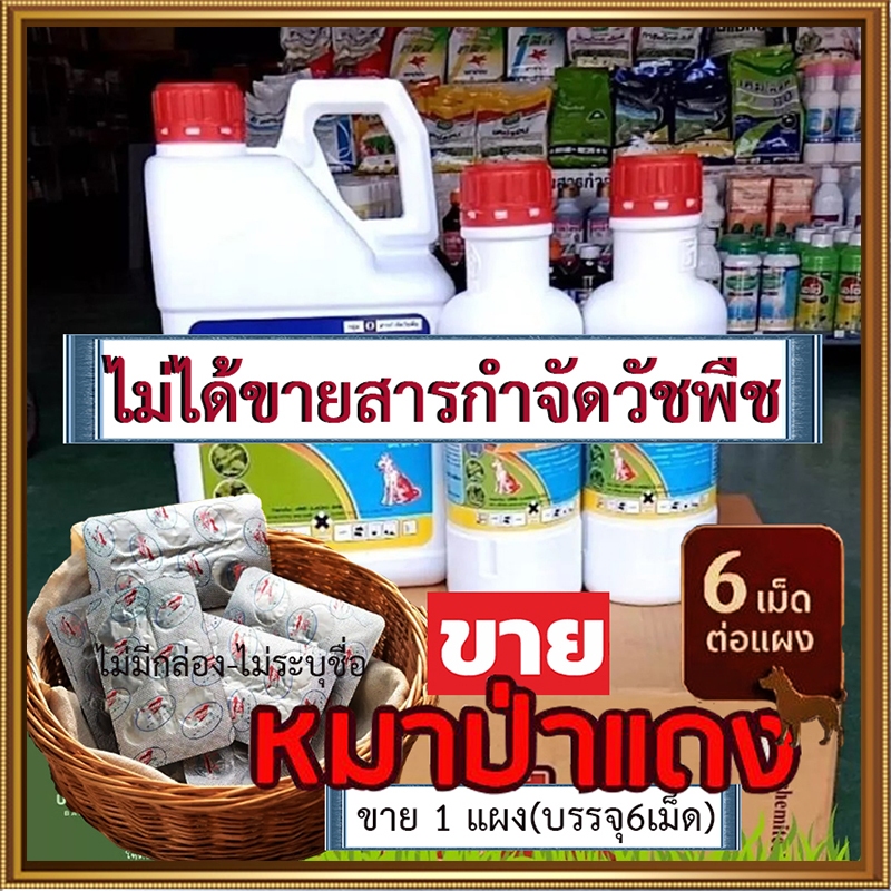 หม าแดงค นกิ น 8 0 0 mg.ขาย1ชิ้นสินค้าตามภาพในตะกร้า❌สินค้าไ ม่ใช่*ดาราเอมีน 24-ดีไดเมทิลแอมโมเนียม84%(หมาแดงน้ํา)1000ml