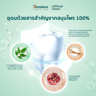 Himalaya Active Fresh Herbal Toothpaste 100g ยาสีฟันสมุนไพร สูตรลมหายใจหอมสดชื่น ช่วยลดกลิ่นปาก