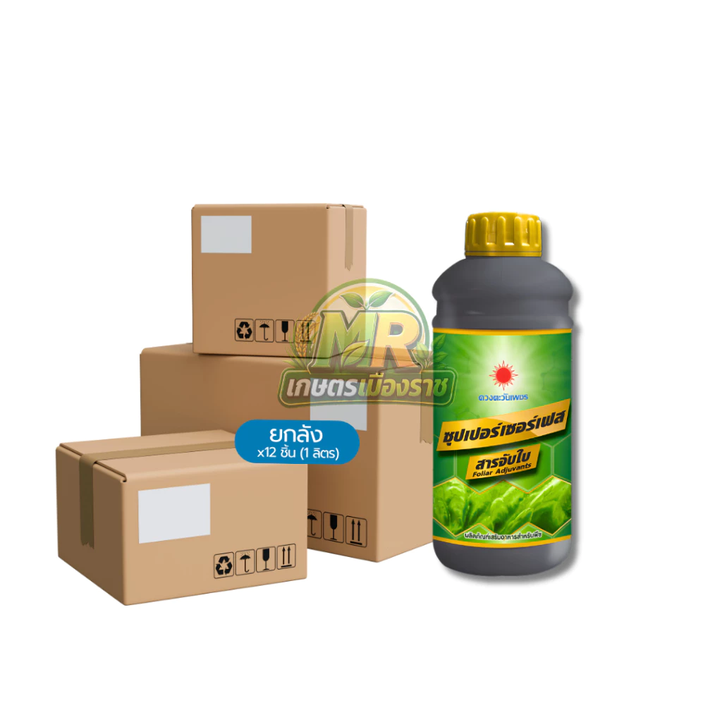 (ยกลัง1L*12) สารจับใบ-ซุปเปอร์เซอร์เฟส 1 ลิตร #เกษตรเมืองราช #ดวงตะวันเพชร