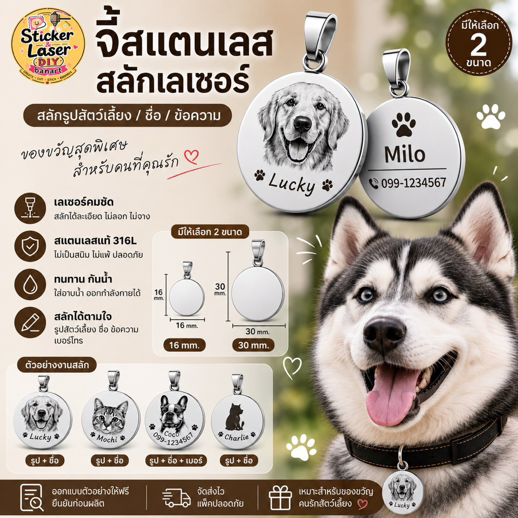 ป้ายชื่อสัตว์เลี้ยงสแตนเลส งานเลเซอร์ น้ำหนักเบา ไม่เป็นสนิม