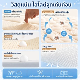 ที่นอนยางพาราแท้ 100% หนา 3.5 นิ้ว แก้ปวดหลัง พับเก็บได้ นำเข้าจากประเทศเบลเยี่ยม ส่งฟรี