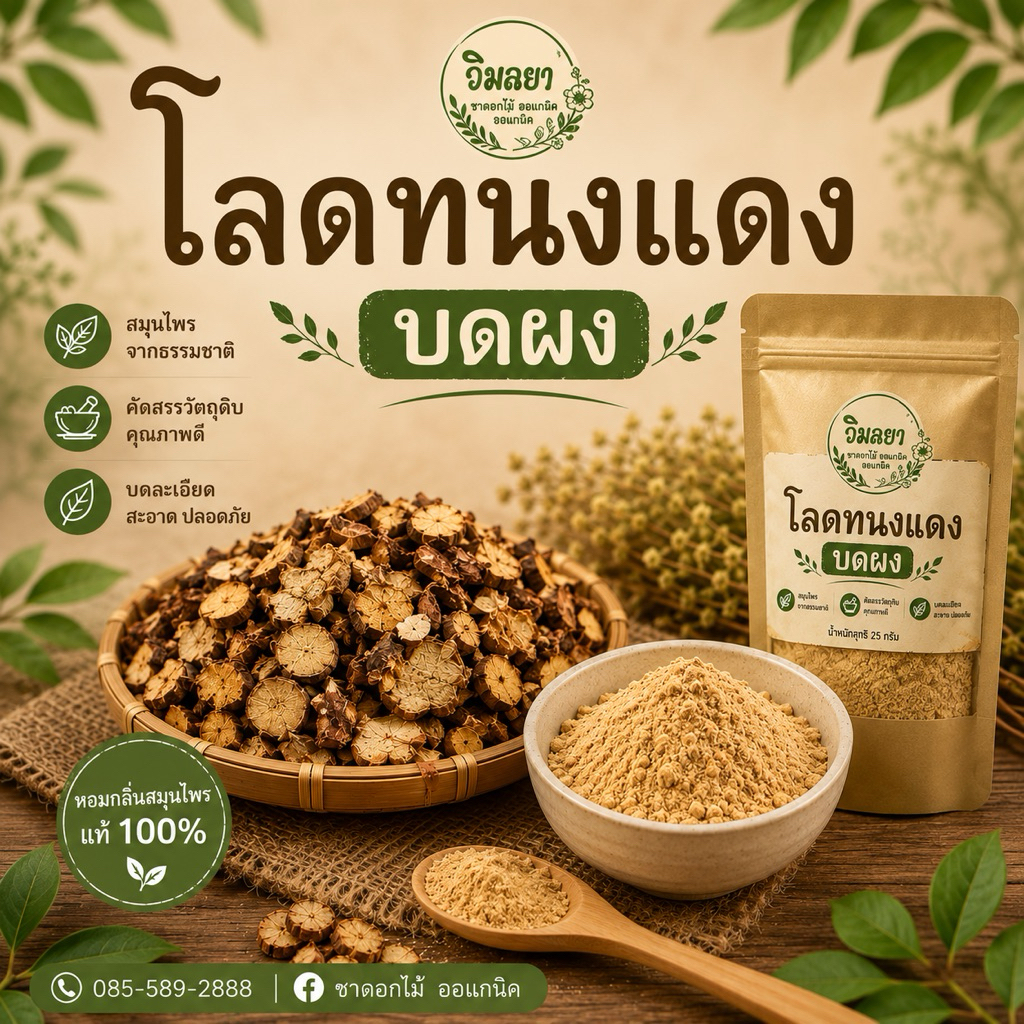 โลดทนงแดงบดผง🌱นางแซงบดผง(บรรจุ 25 กรัม)