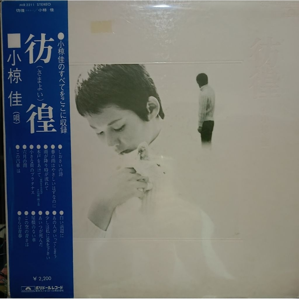 Yoshi Ogura - Wandering
