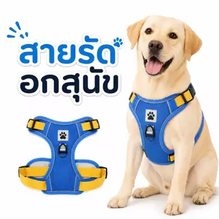 สายรัดอกสุนัขกลาง-ใหญ่ พร้อมแทบสะท้อนแสงกลางคืน