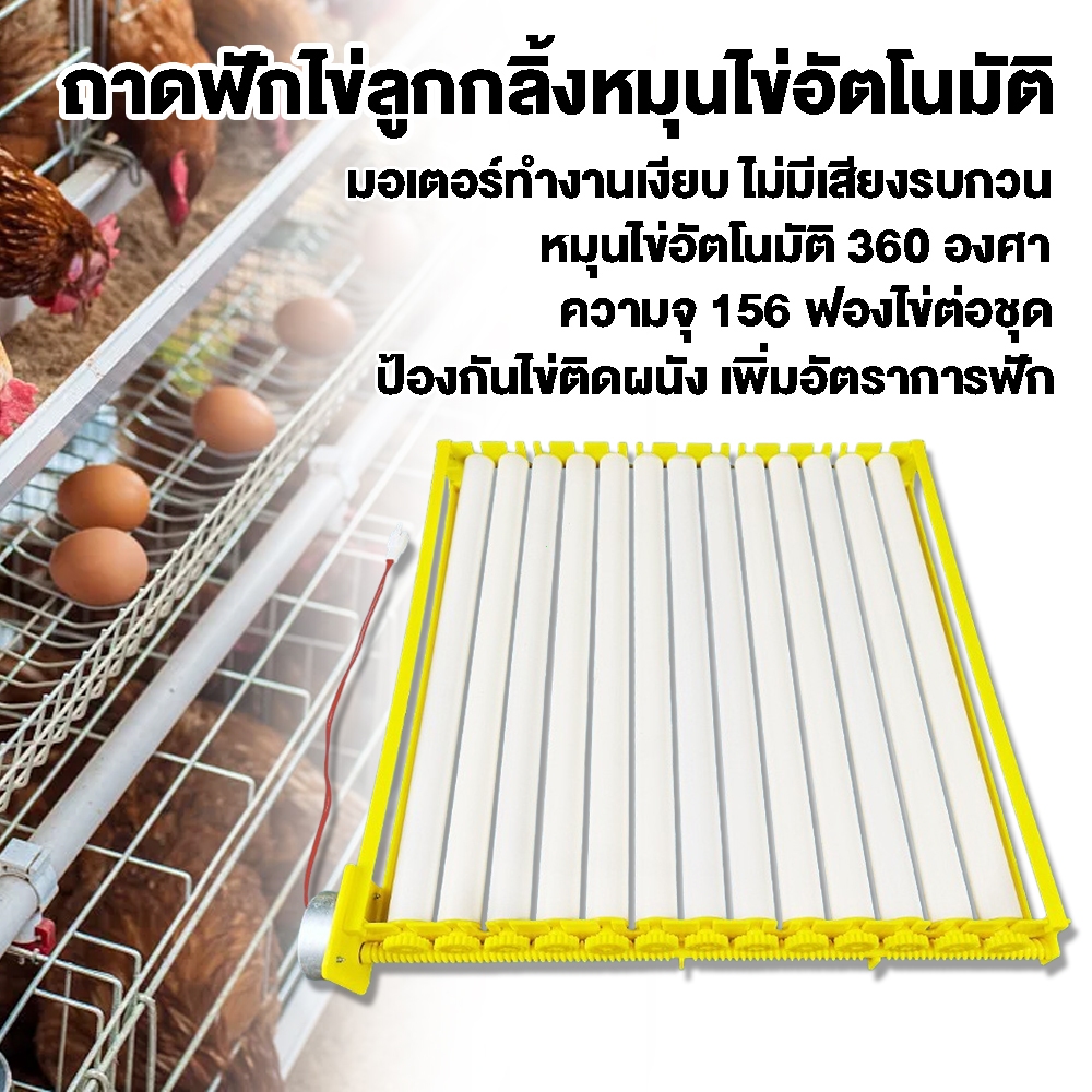 ถาดหมุนไข่อัตโนมัติ พลาสติก 360° ใช้สำหรับฟักไข่สัตว์ปีก เป็ด ไก่ ห่าน 220V