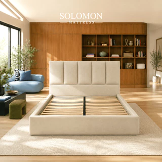 Solomon ชุดเตียงพร้อมที่นอน รุ่น Berlin หุ้มผ้าฝ้ายพรีเมียม เลือกได้ 2 สไตล์ นุ่มหรือแน่น แถมหมอนหนุน 2 ใบ หมอนข้าง 1 ใบ