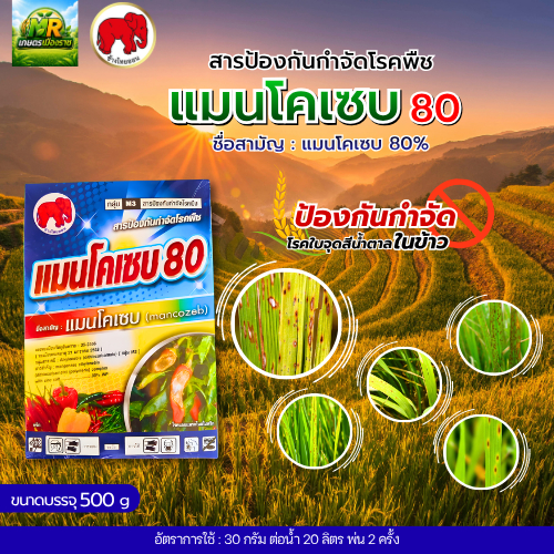 แมนโคเซบ 80 (แมนโคเซบ 80% WP) 500g #เกษตรเมืองราช #ช้างไทออน
