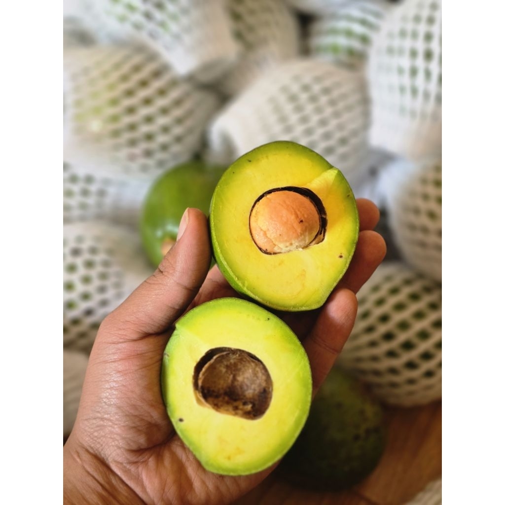 🥑ปีเตอร์สันไซส์ 8-10ลูก/กก. ราคา 39 บาทต่อโล รสชาติ เหนียวมันเนยหนึบเป็นสายพันธุ์ทีากินง่ายและอร่อยมาก *งานไม่ห่อโฟม*