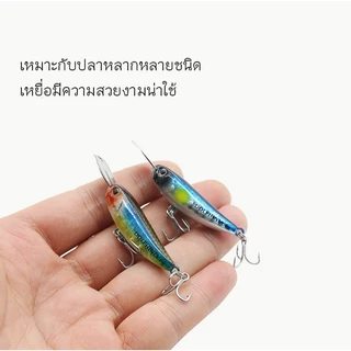 Dolphinly Pencil ปากเหล็ก 6/16 กรัม