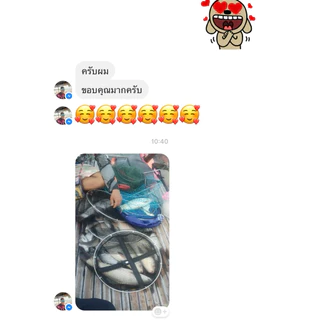 มะขวิดหวาน เหยื่อตกปลา ตกปลา