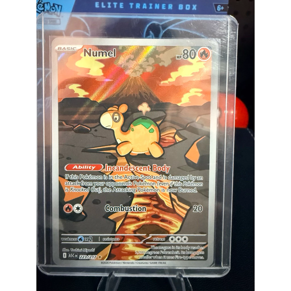 พร้อมส่ง ‼️Pokemon การ์ดโปเกมอน - ระดับ IR Ver.Eng การ์ดแท้ 100% thumbnail 6
