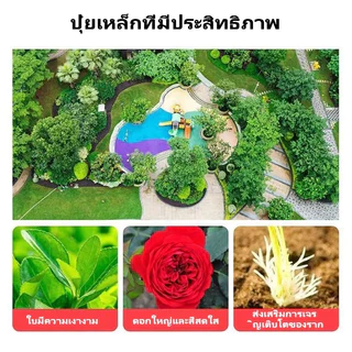 【GreenThumb】ปุ๋ย เหล็กซัลเฟต เฟอรัสซัลเฟต 250g ป้องกันโรคเหลือง ปรับสมดุลความเป็นกรดของดิน เพิ่มปริมาณธาตุเหล็กในพืช