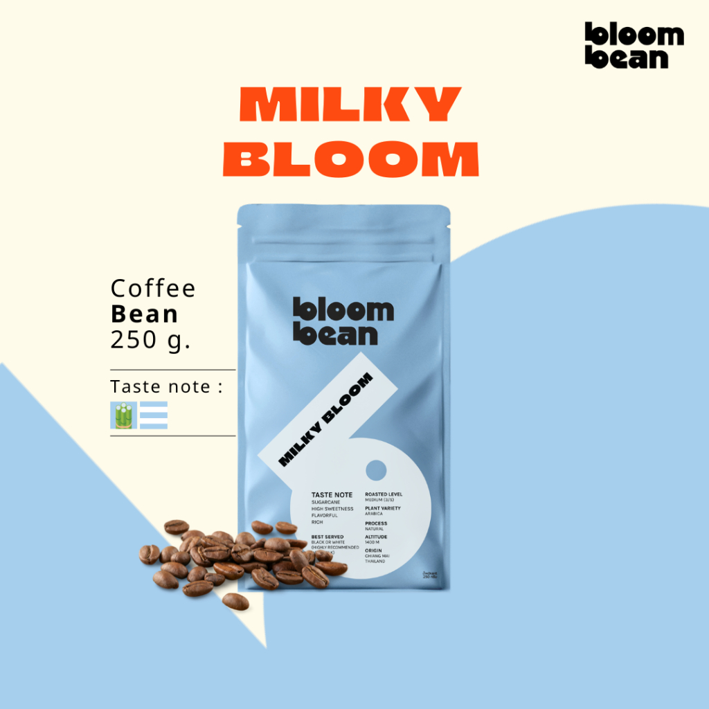 เมล็ดกาแฟคั่วอาราบิก้า 100% Bloom Bean รส Milky Bloom คั่วกลางค่อนเข้ม หอมหวาน บอดี้นุ่ม บาลานซ์ เหมาะสำหรับกาแฟใส่นม