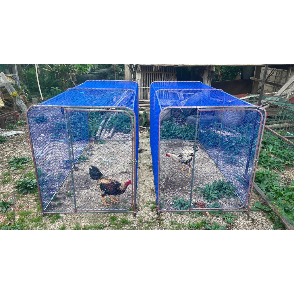 ลู่วิ่งไก่เหล็กกล่อง 4 หุน ขนาด รูปที่ 7