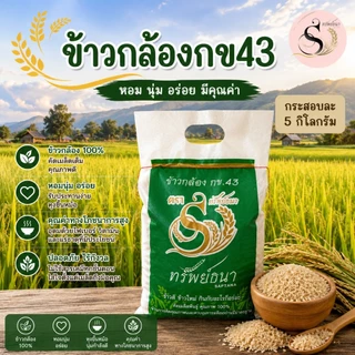 ข้าวกล้องกข43 ตราทรัพย์ธนา ยกกระสอบ5กิโลกรัม