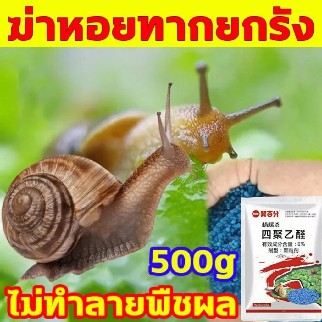ยาฆ่าหอยทาก เมทัลดีไฮด์ Metaldehyde เหยื่อหอยทากฆ่าหอยทากได้ทุกชนิด กำจัดหอยทากได้อย่างมีประสิทธิภาพ 100%