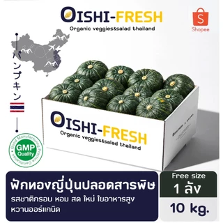 🚨ส่งด่วน🥢ร้านอาหาร🥬ฟักทองญี่ปุ่น ปลอดสารพิษ 10 กก. ผักร้านอาหาร ผักยกลัง ผักราคาส่ง ผักชาบู ผักโรงแรม ส่ง 24 ชม.