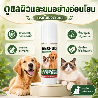 AEXHUQ สเปรย์เชื้อราสุนัข แมว ดูแลผิวหนัง ขี้เรื้อน ลดคัน ขนร่วง ผื่นแดง สูตรธรรมชาติ ปลอดภัย 100ml
