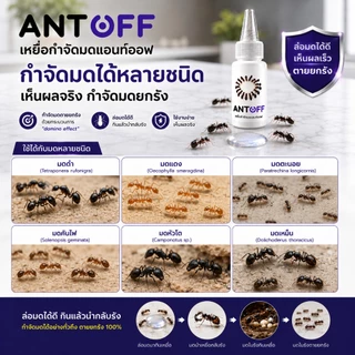 เจลกำจัดมด -ของแท้ 100%- ร้านส่งไว