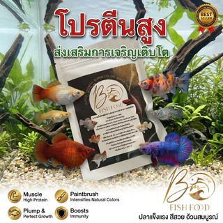 ใหม่อาหารปั้น!!! BM Fish Food อาหารปลาเกรด Super Food สำหรับปลาสวยงาม เห็นผลภายใน 14 วัน