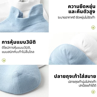 ECOISM ถุงเท้าผู้หญิง ถุงเท้าข้อสั้น ผ้าฝ้ายคอมบ์ ถุงเท้าแฟชั่น ระบายอากาศ ไม่อับชื้น นุ่มสบาย
