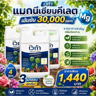 แมกนีเซียมพืช 4ลิตร (3แกลอน) ฟื้นฟูต้น เร่งการเจริญเติบโต ใบเขียว ใบเข้ม ใบหนา เร่งแตกแขนง แตกกอ รวม12ลิตร