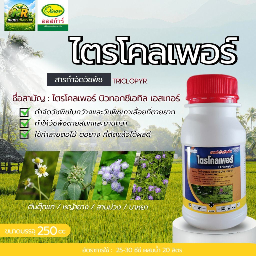 ไตรโคลเพอร์ (ไตรโคเพอร์ บิวทอกซีเอทิล เอสเทอร์ 66.8% W/V EC) 250cc #เกษตรเมืองราช #ออสก้า