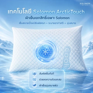 Solomon เซตหมอนหนุนเย็น 1 ใบ และหมอนข้างเย็น 1 ใบ หมอนสัมผัสเย็น ระบายอากาศดี