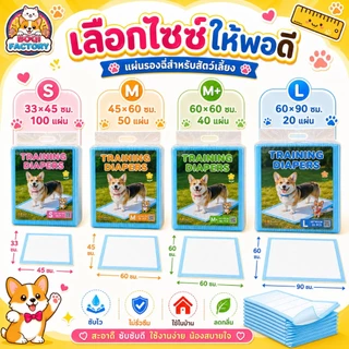 แผ่นรองฉี่สุนัขแมว Cocoyo ซับน้ำไว ดับกลิ่น แห้งเร็ว แผ่นรองฝึกขับถ่าย สำหรับสัตว์เลี้ยง