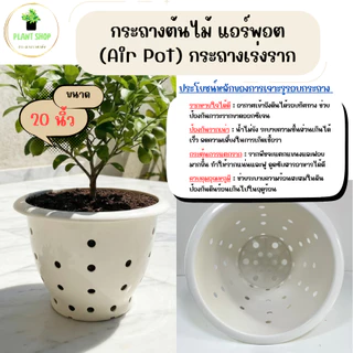 กระถางต้นไม้ 20 นิ้ว ปากเรียบ รุ่นหนาเงาสวย