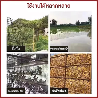 ตาข่ายพลาสติก HDPE ตาข่ายล้อมไก่ รู 2ซม./3.5ซม. สูง 1ม./1.2ม. ยาว 10/25/50ม. กันนก ใช้ทำรั้วสวน
